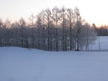 樹氷の朝－１