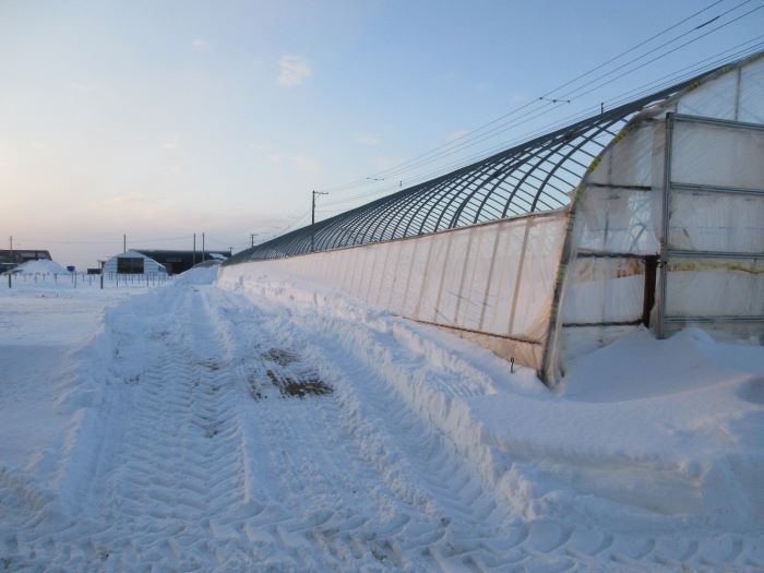 ハウス周囲除雪-2