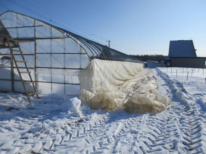 ハウス屋根掛け