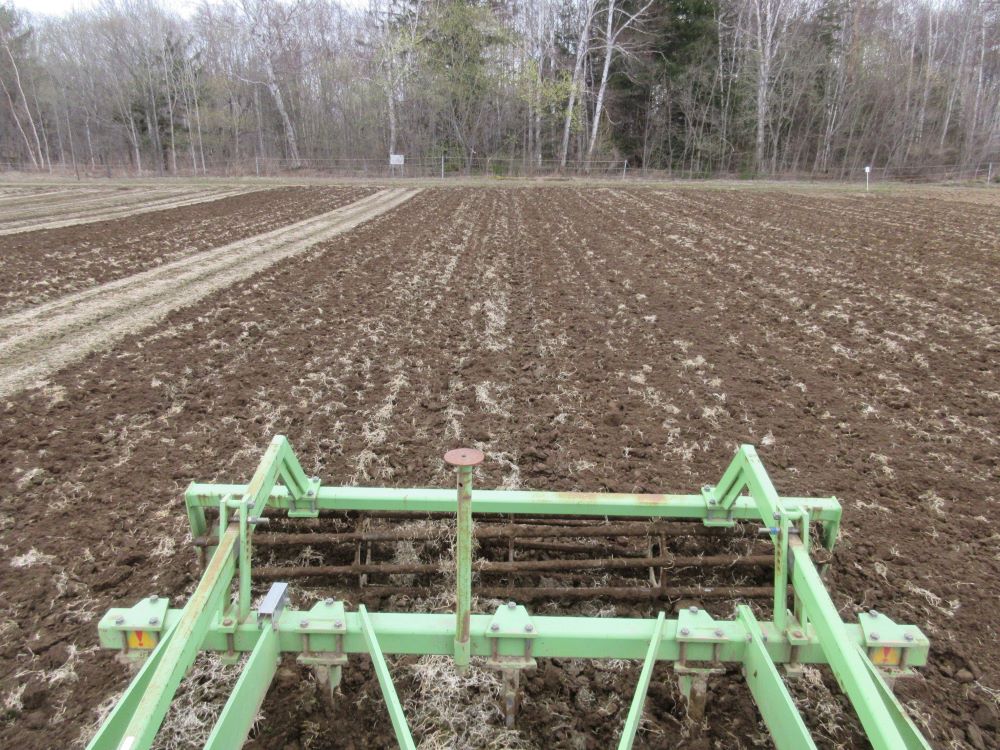 ソイルクランブラ